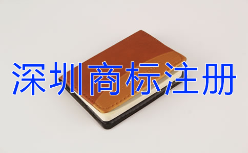 專(zhuān)業(yè)代理深圳商標(biāo)注冊(cè)設(shè)計(jì)